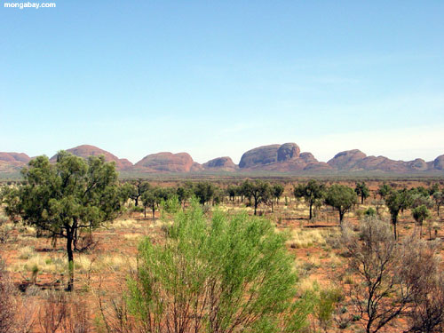 Roccia Uluru, Australiano Di Ayers Outback