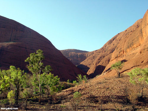 Roche Uluru, Australie D'Ayers � l'int�rieur