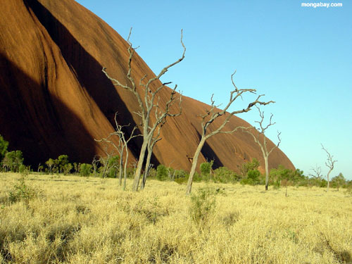 Roche Uluru, Australie D'Ayers � l'int�rieur