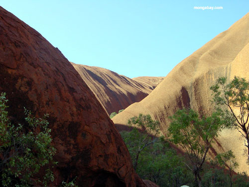 Ayers Felsen/Uluru
