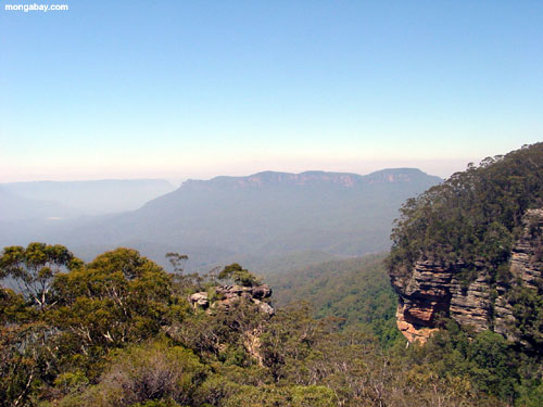 Montagnes Bleues, Australie