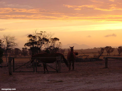 Coucher du soleil De Ranch, Australie