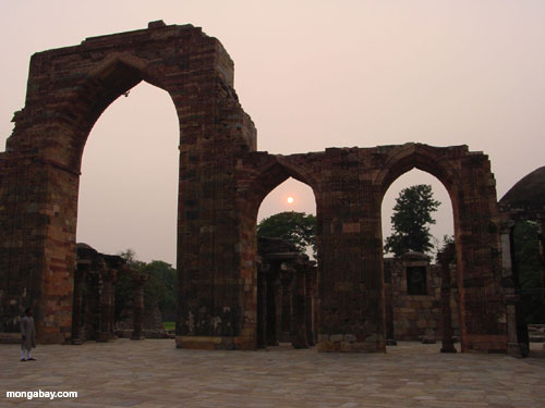 Archi, India
