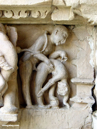 Kama Sutra Carvings