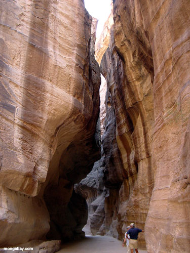 Canyon Di Petra