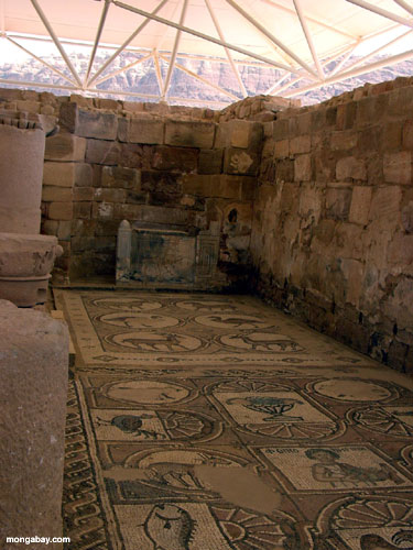 Interior De Petra