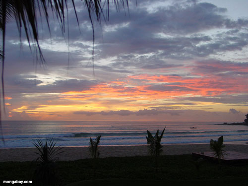 beach sunset pictures. Beach Sunset