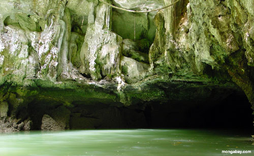 Cueva Del Mar
