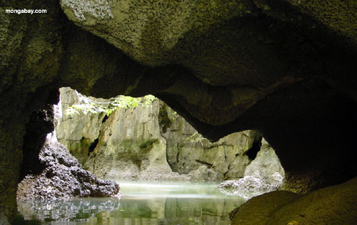 Cueva Del Mar