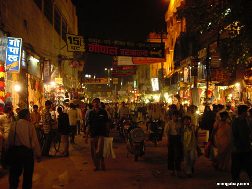 An urban night scene in India. Photo by Nancy Butler / mongabay.com